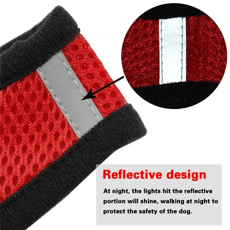 🐾🎽 Adjustable Mesh Cat & Small Dog Harness Vest with Leash