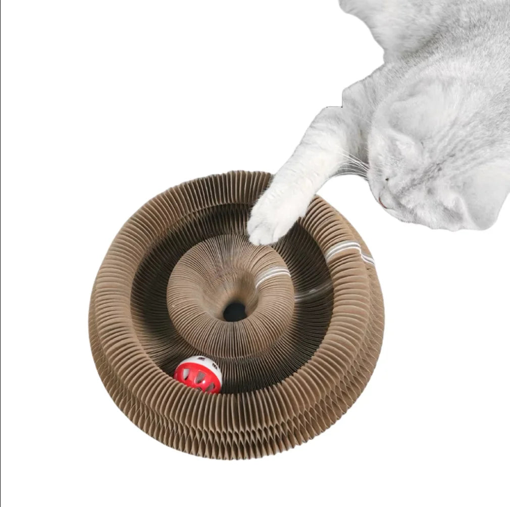 🐱🌀 Foldable Magic Organ Cat Scratching Board & Bed