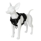 🐾🎽 Tactical Reflective Cat & Small Dog Harness with Leash