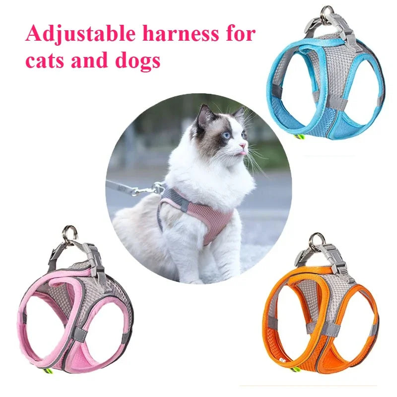 🐾🧸 Indestructible Squeaky Plush Toy – For Aggressive Chewers