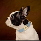 PU Leather Dog Collar with Free Custom Engraved Nameplate, Adjustable Anti‑Lost Buckle Collar for All Dog Sizes