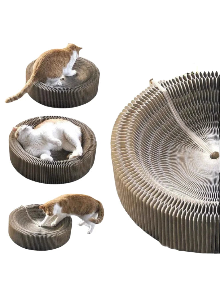 🐱🌀 Foldable Magic Organ Cat Scratching Board & Bed