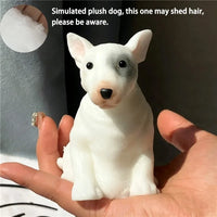 Bull Terrier