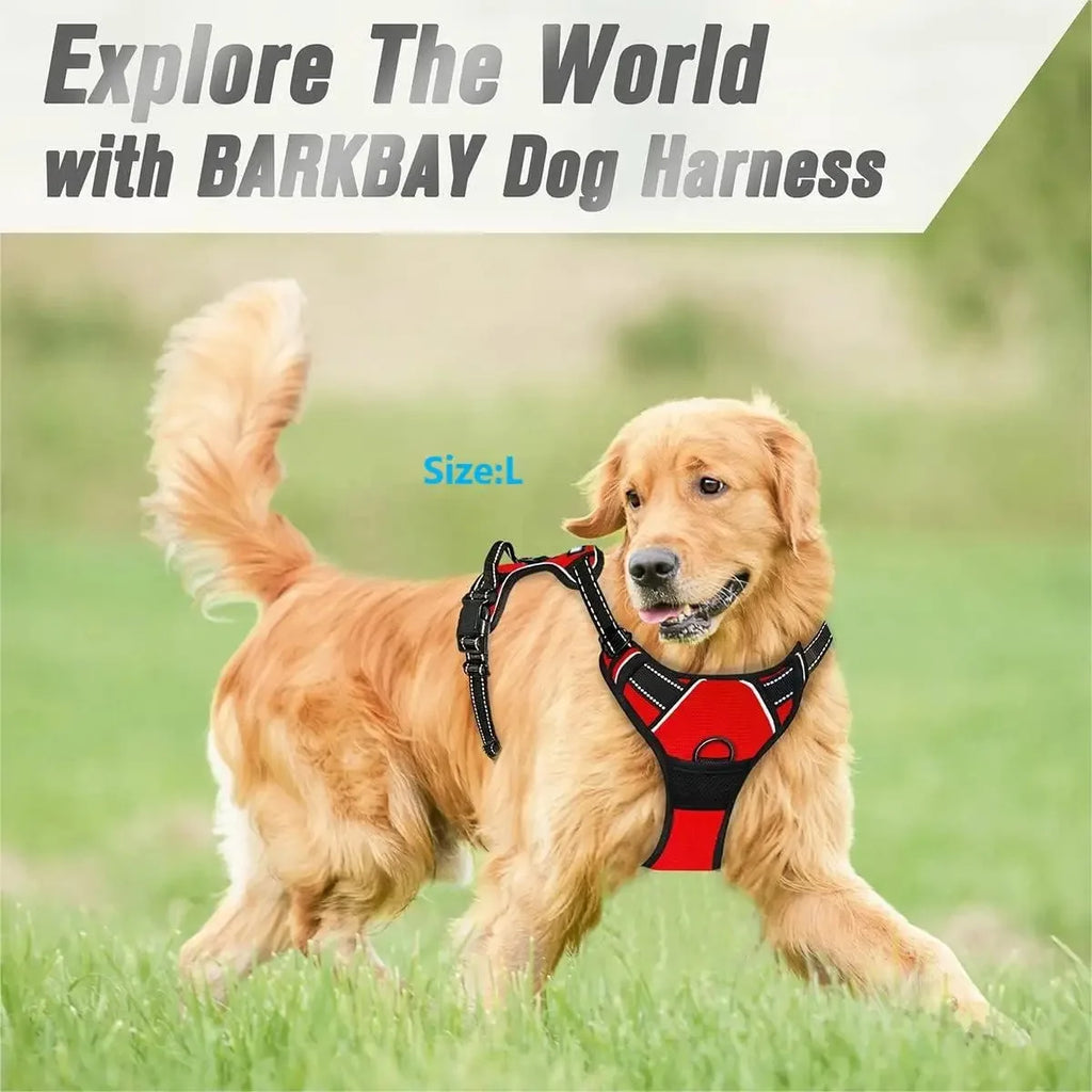🐾🦺 Dog Harness Vest & Leather Leash Set – Collar Accessories