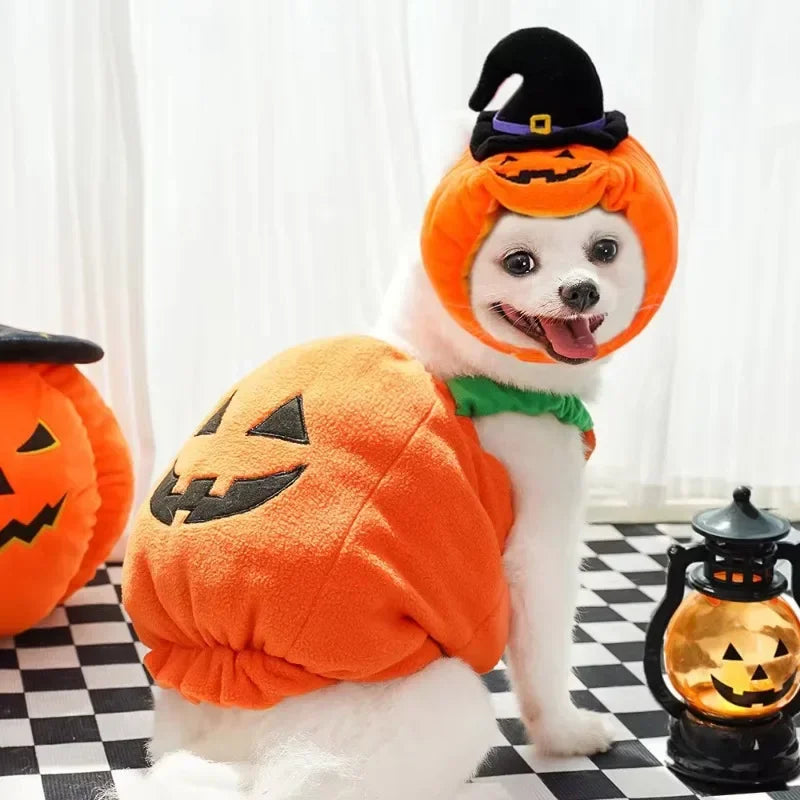Halloween Pumpkin Dog Costume – Funny Hat & Jacket Outfit