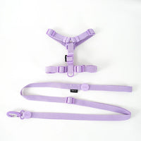 Purple Set / S