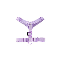 Purple Harnesses / S