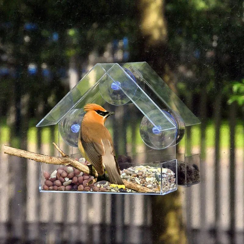 🐦✨ Transparent Window Bird Feeder House | Suction Cup Glass Feeder 🪟 | Outdoor Hummingbird Gazebo Feeding Cage Accessory