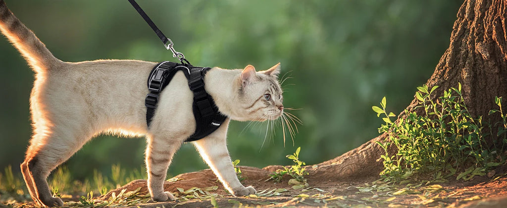 🐱🐾 Escape-Proof Cat Harness and Leash | Soft Adjustable Vest Harness for Walking 🌿 | Easy Control & Comfortable Outdoor Cat Gear