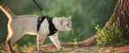🐱🐾 Escape-Proof Cat Harness and Leash | Soft Adjustable Vest Harness for Walking 🌿 | Easy Control & Comfortable Outdoor Cat Gear