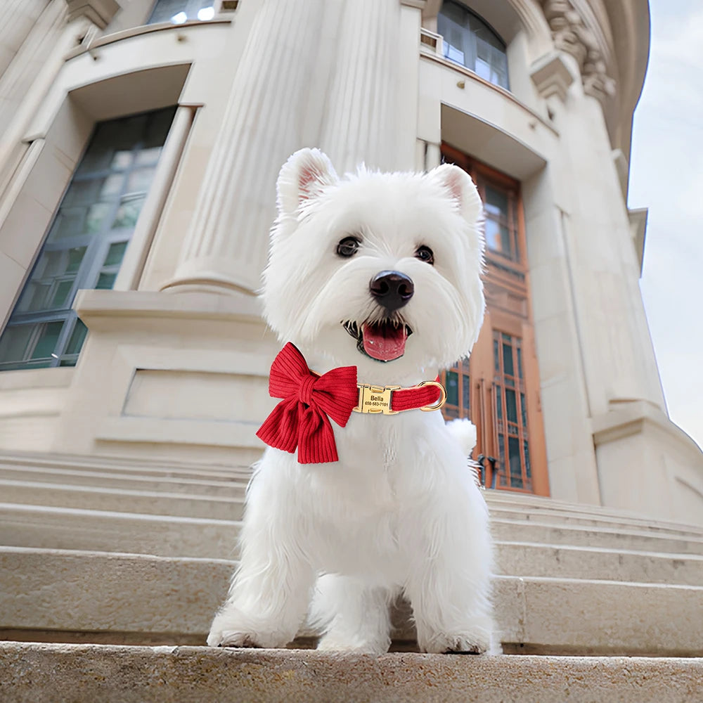 🎀🐾 Personalized Dog Collar with Bowtie – Custom Engraved ID