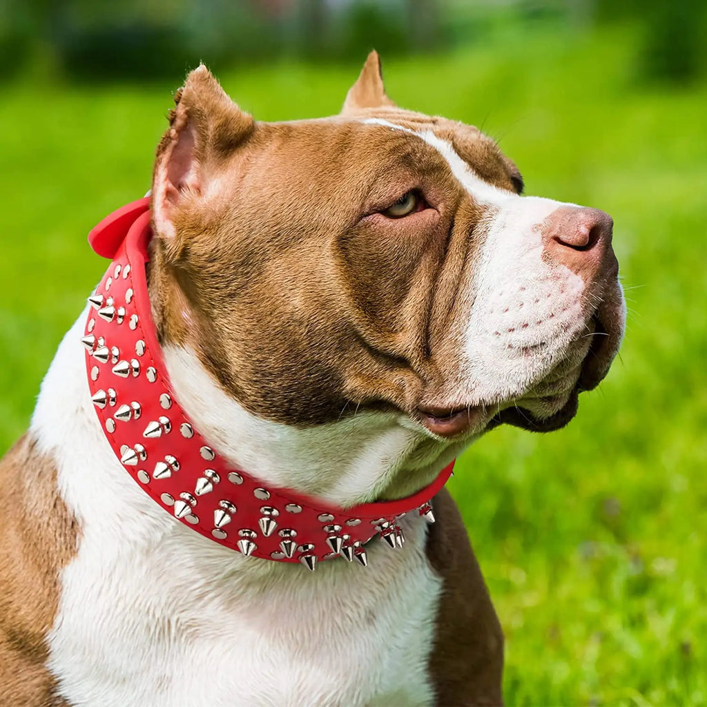 🐕🛡️ Spiked Large Dog Collar – PU Leather Collar for Medium to Large Breeds (L–3XL) | Pitbull, Mastiff, Boxer