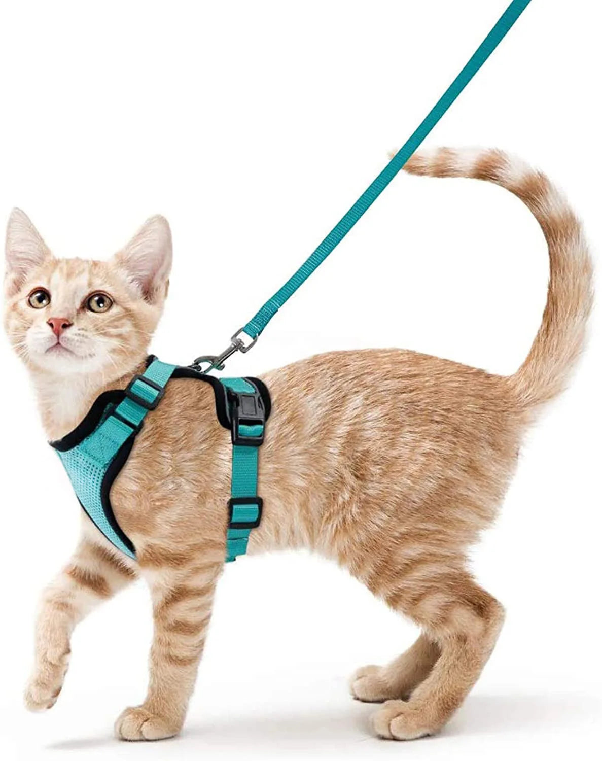 Cat Harness and Leash for Walking Escape-Proof Soft Adjustable Vest Harnesses for Cats Easy Control