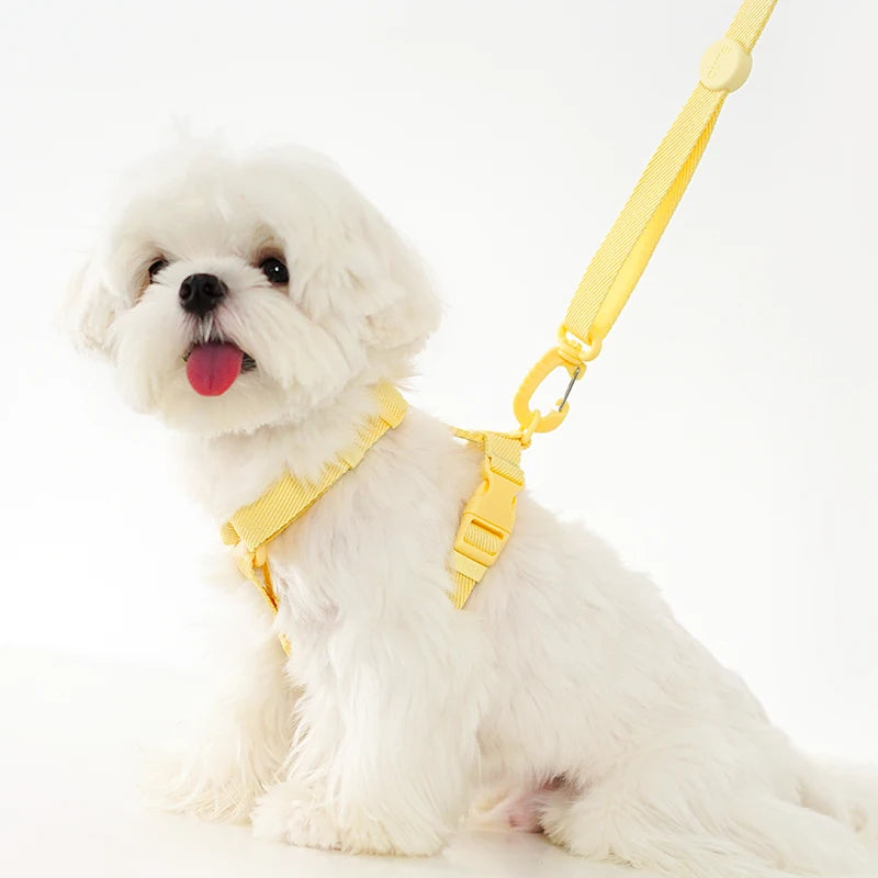🌈🐾 Macaron Color Dog Harness Collar & Leash Set – Reflective