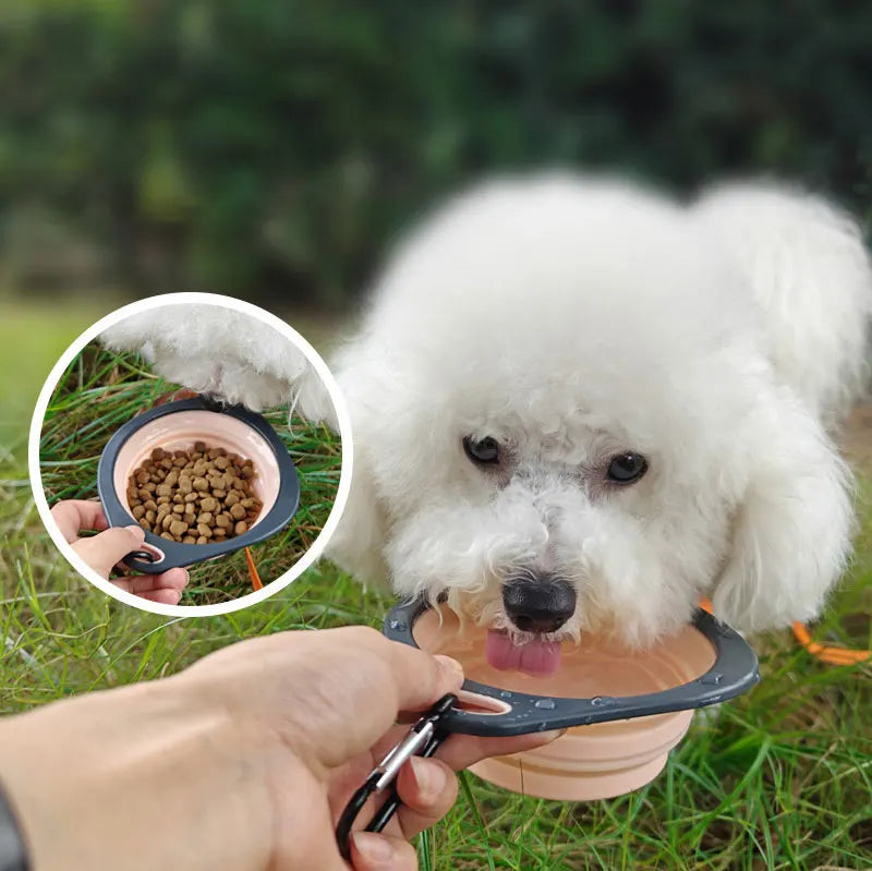 🐾🥣 Folding Silicone Pet Travel Bowl – Collapsible Outdoor Feeder