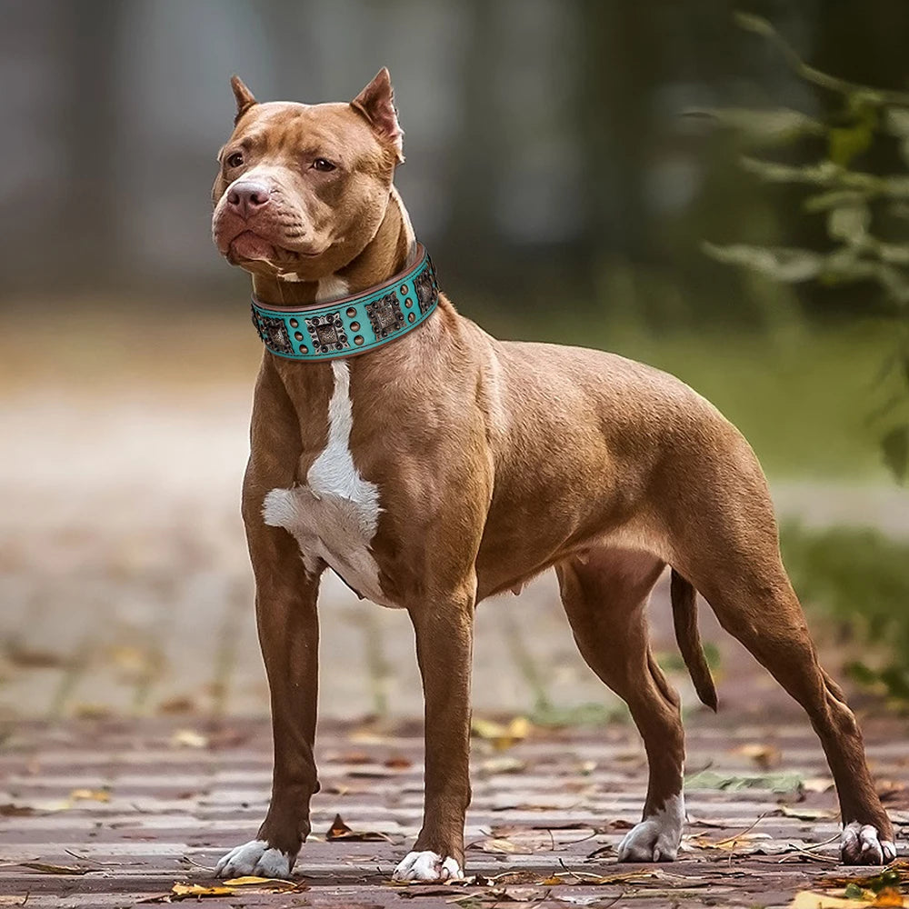 🐕🛡️ Spiked Leather Dog Collar – Heavy Duty Adjustable