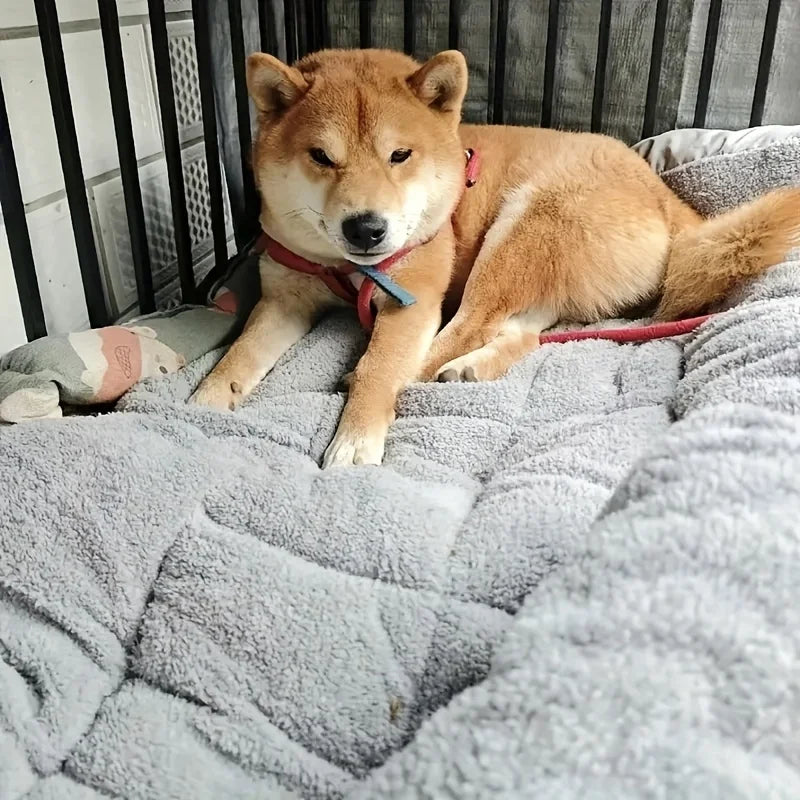 🛋️🐾 Oversized Plush Pet Bed Sofa – Ultra Soft Rectangle Mat