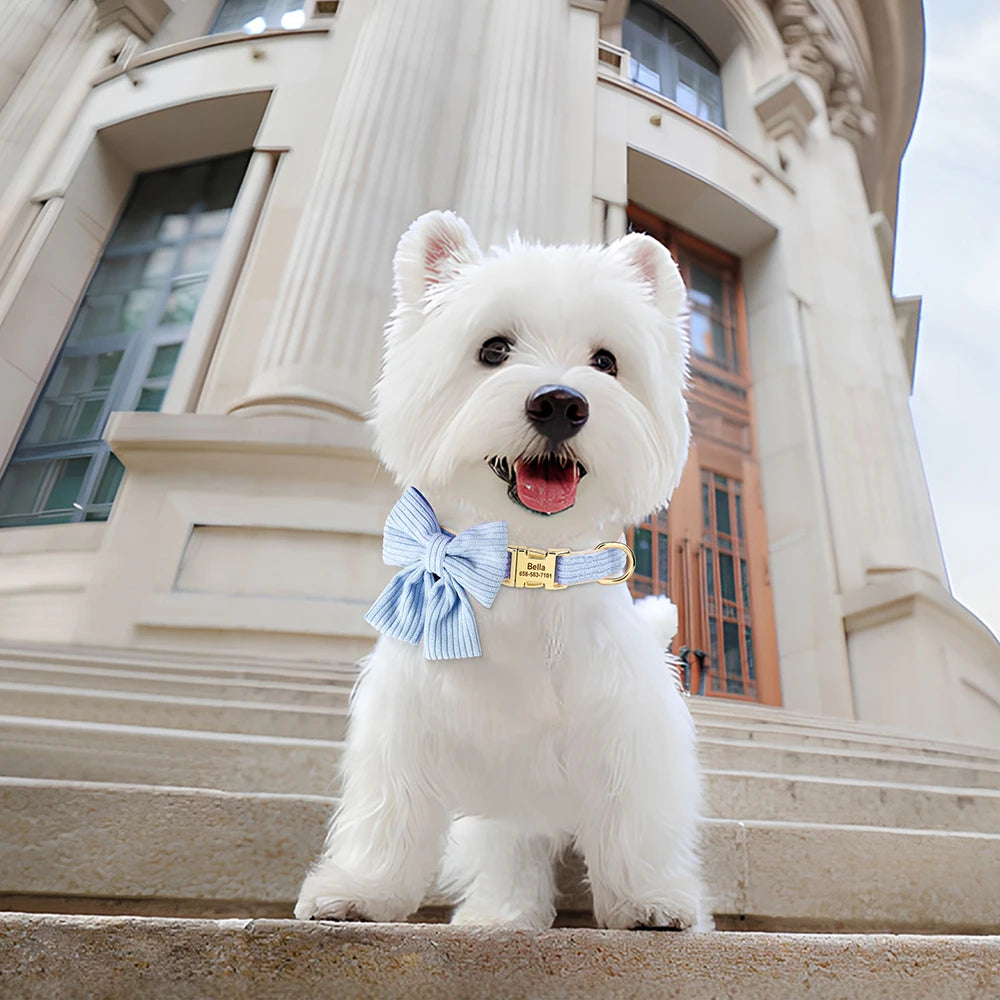 🎀🐾 Personalized Dog Collar with Bowtie – Custom Engraved ID