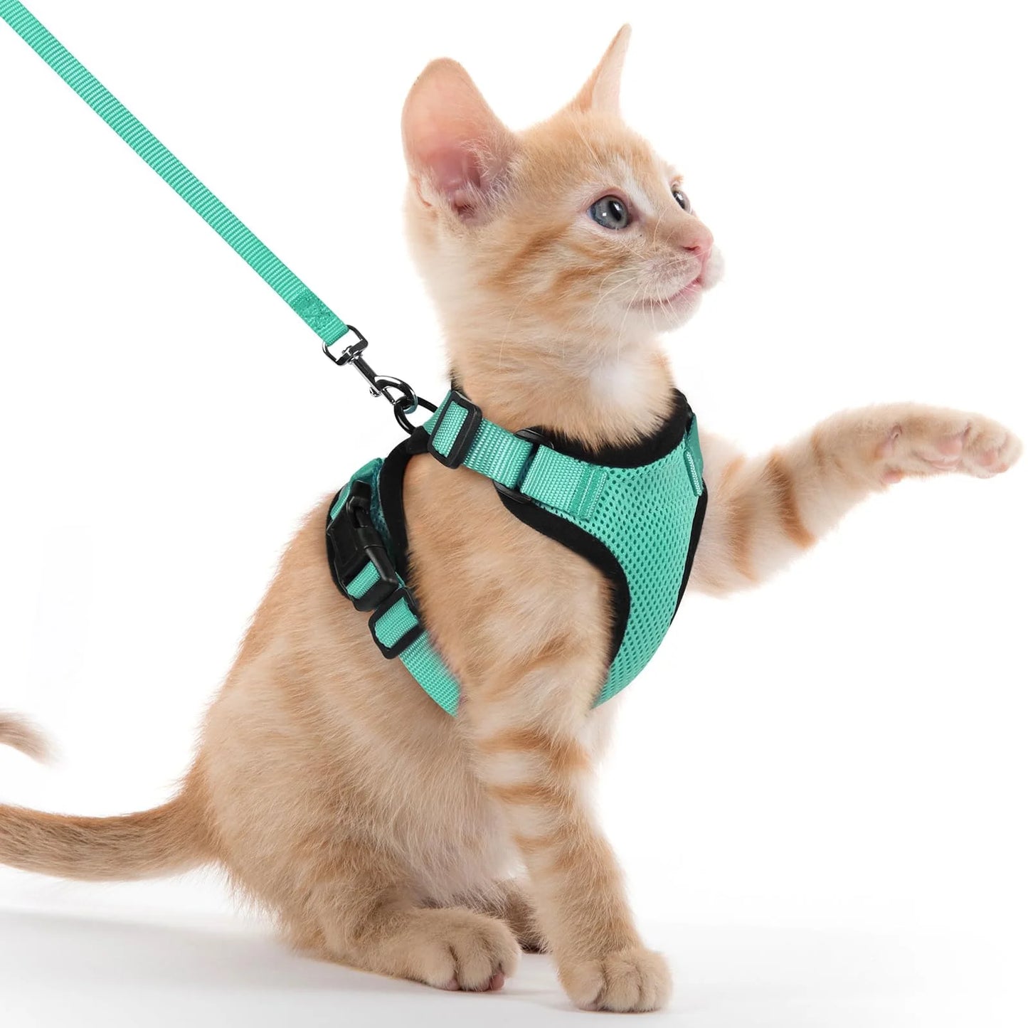 🐾✨ Adjustable Reflective Cat & Small Dog Harness Leash Set – Escape Proof Mesh Vest