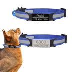 🐱✨ Reflective Adjustable Cat Collar – Personalized ID Free Engraving