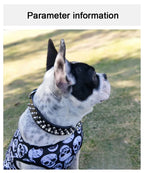 Adjustable Spiked Dog Collar 🐶 PU Leather Punk Studded Pet Collar for Small Dogs & Cats