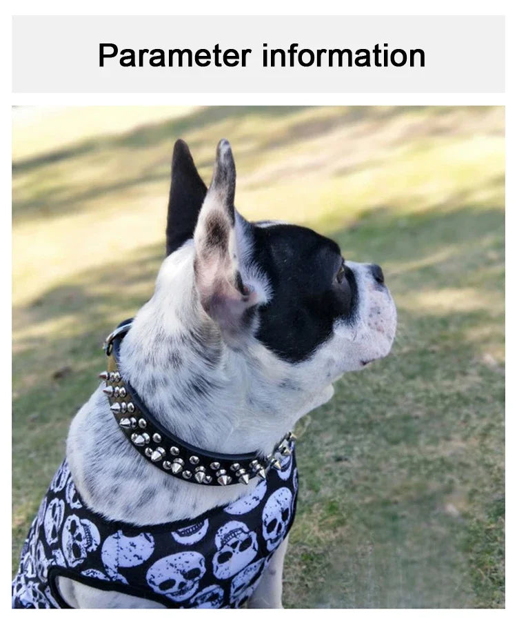 Adjustable Spiked Dog Collar 🐶 PU Leather Punk Studded Pet Collar for Small Dogs & Cats