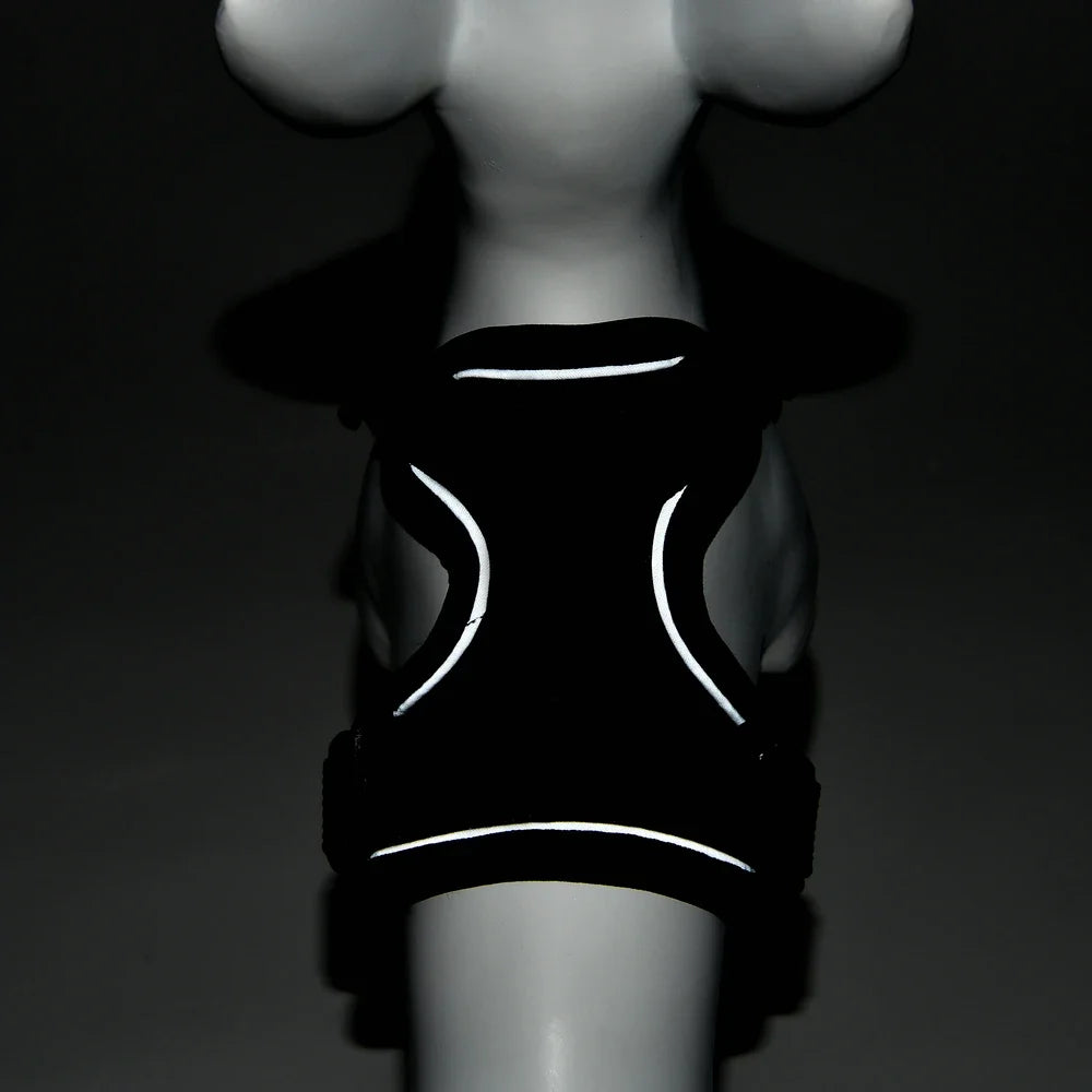 🐾🎽 Tactical Reflective Cat & Small Dog Harness with Leash