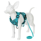 🐾🎽 Breathable Reflective Cat & Small Dog Harness with Leash