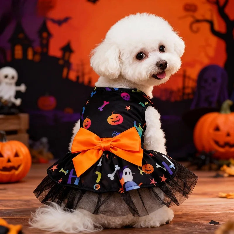 Halloween Witch Costume Set – Cape & Hat for Cats & Dogs