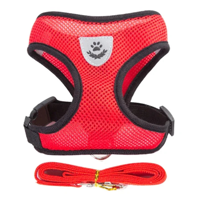 🐾🎽 Adjustable Mesh Cat & Small Dog Harness Vest with Leash