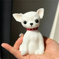 Chihuahua