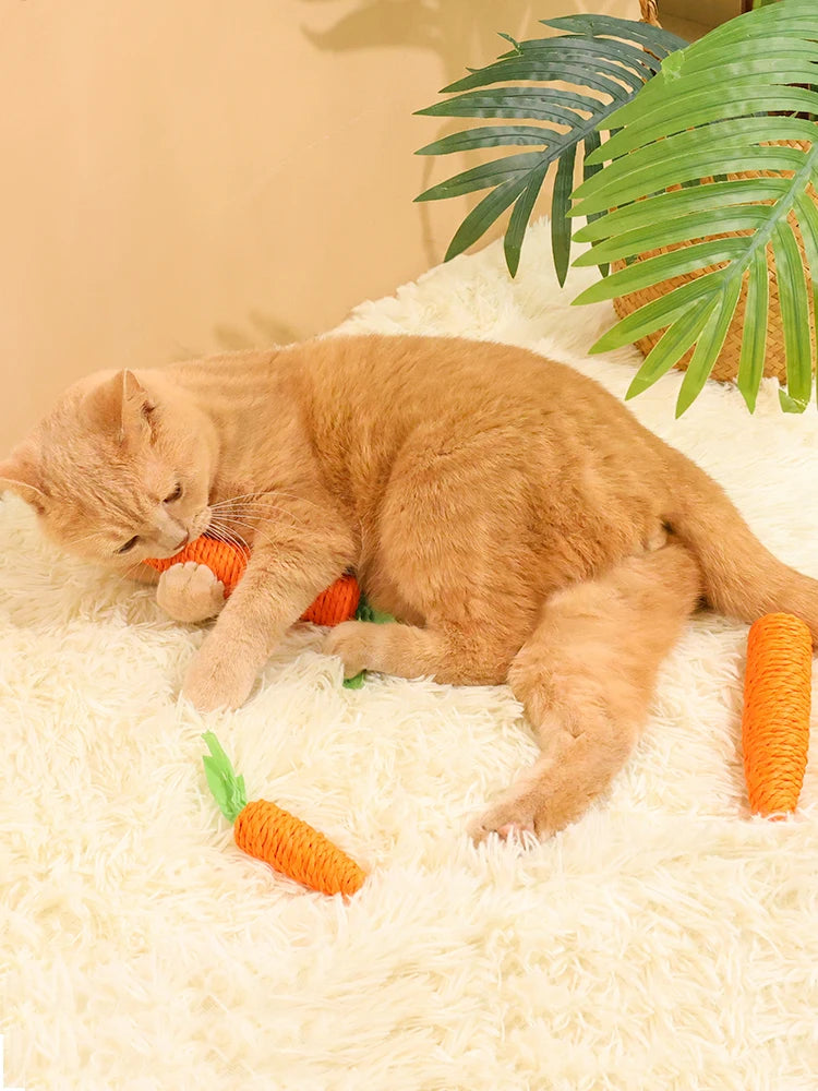 🥕🐱 Cat Carrot Chew Toy – Hemp Rope Teeth Grinding Interactive Toy