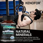 Himalayan Shilajit Capsules – Natural Mineral & Fulvic Acid Supplement | 30/60/120 Count