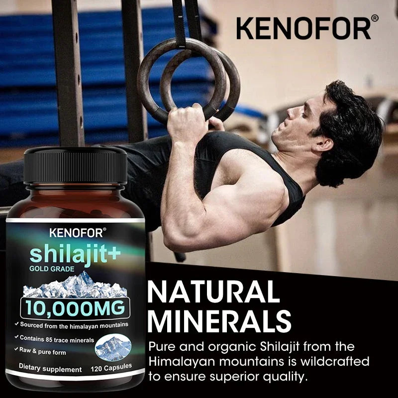 Himalayan Shilajit Capsules – Natural Mineral & Fulvic Acid Supplement | 30/60/120 Count