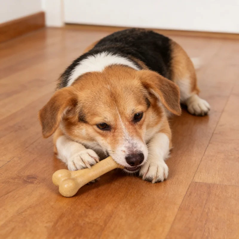 🦴🐶 Heavy Duty Dog Bone Chew Toy – Natural & Non-Toxic