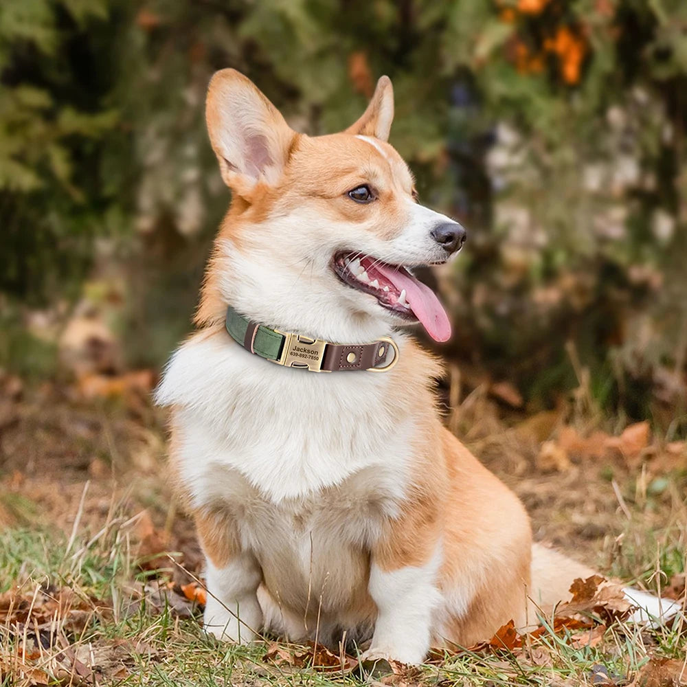 🐾 Customized Dog Collar | Durable PU Leather + Nylon | Engraved Pet ID Necklace 🐶 | Adjustable Metal Buckle for Small, Medium & Large Dogs (Pug, Pitbull, Chihuahua, Terrier) ✨