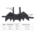 Cat Demon Costume Set – Horns & Bat Wings Halloween Outfit