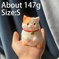 Lucky Cat 147g