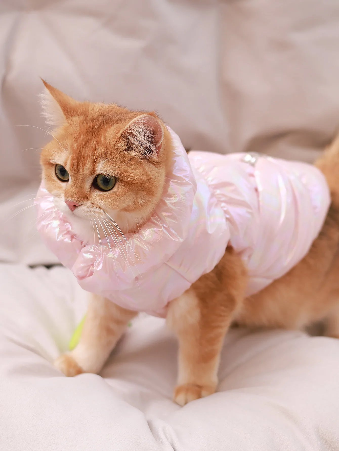 🐾👑 Winter Dog Fur Vest & Princess Skirt Coat – Warm, Windproof & Water-Resistant Jacket for Small Dogs