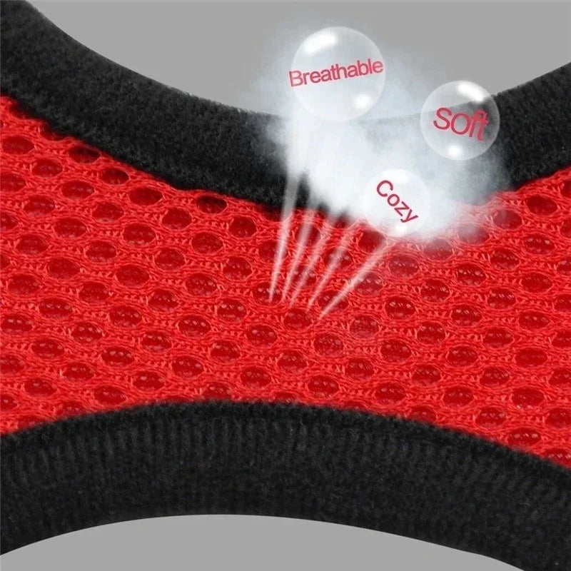 🐾🎽 Adjustable Mesh Cat & Small Dog Harness Vest with Leash
