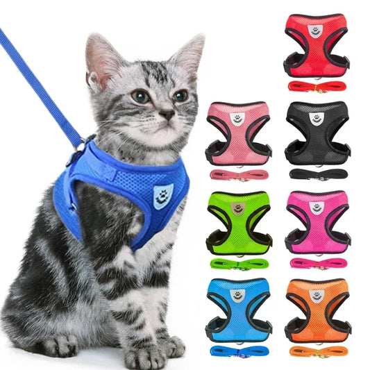 🐾🎽 Adjustable Mesh Cat & Small Dog Harness Vest with Leash