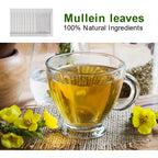 🌿 Mullein Leaf Tea Bags – Caffeine-Free Herbal Tea for Lung & Respiratory Wellness (28 or 60 Bags)