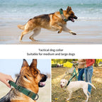 🐕🛡️ Tactical Dog Collar with Handle – Heavy Duty Double Buckle