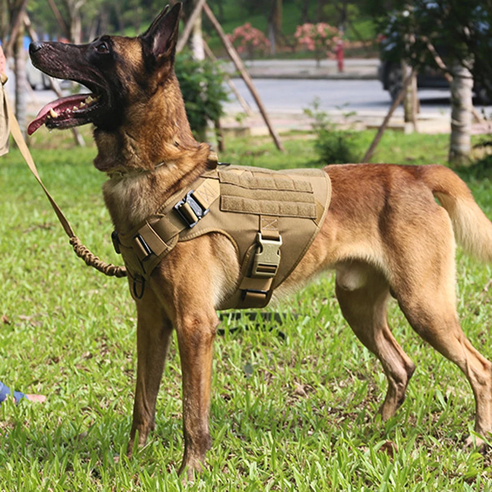 Tactical Large Dog Harness & Leash Set 🐕‍🦺 Military Training Vest with Collar for German Shepherd, Malinois & Medium-Large Dogs