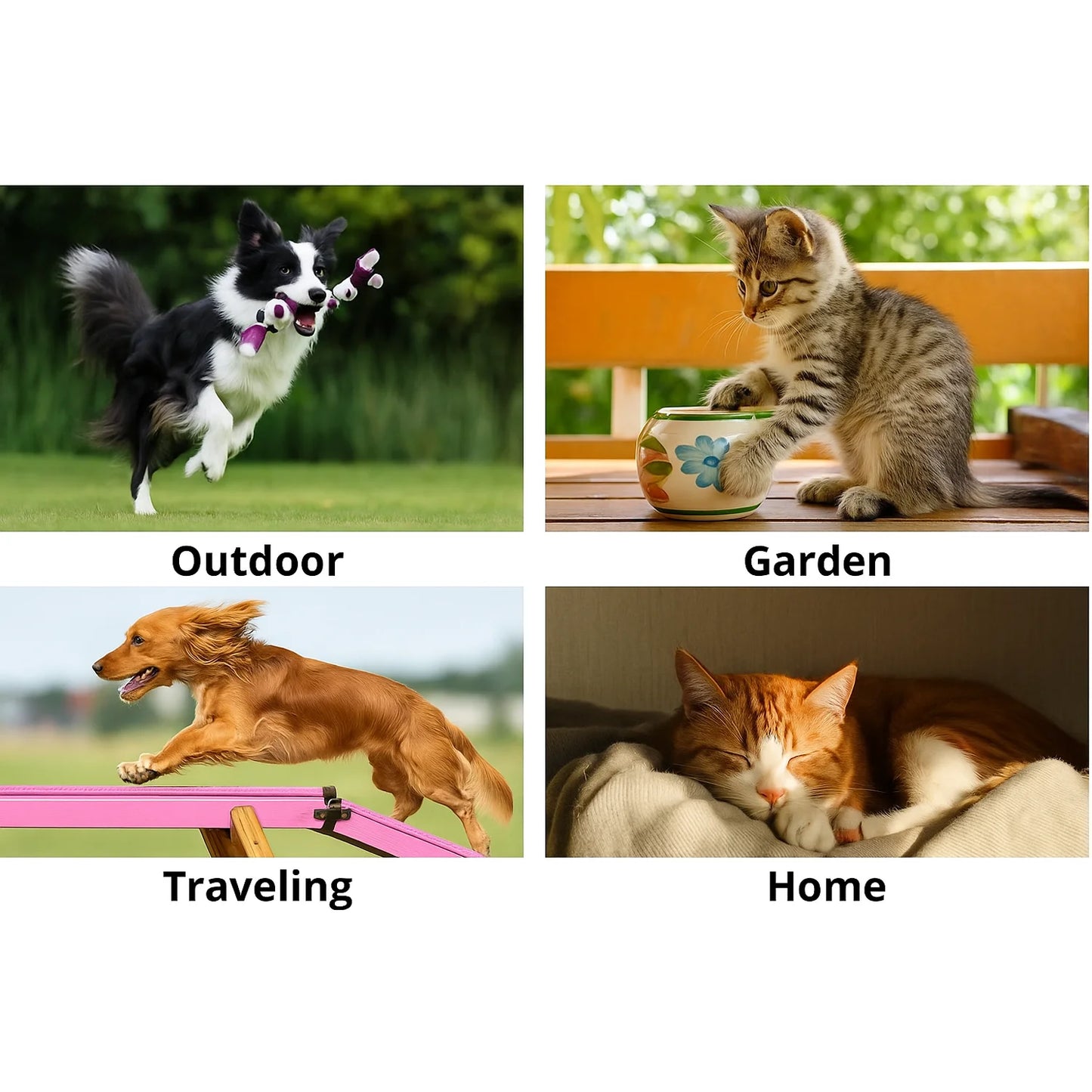 Pet supplies, pet disposable gloves, bathing and cleaning for cats and dogs, dry cleaning, wet wipes, and gloves.
