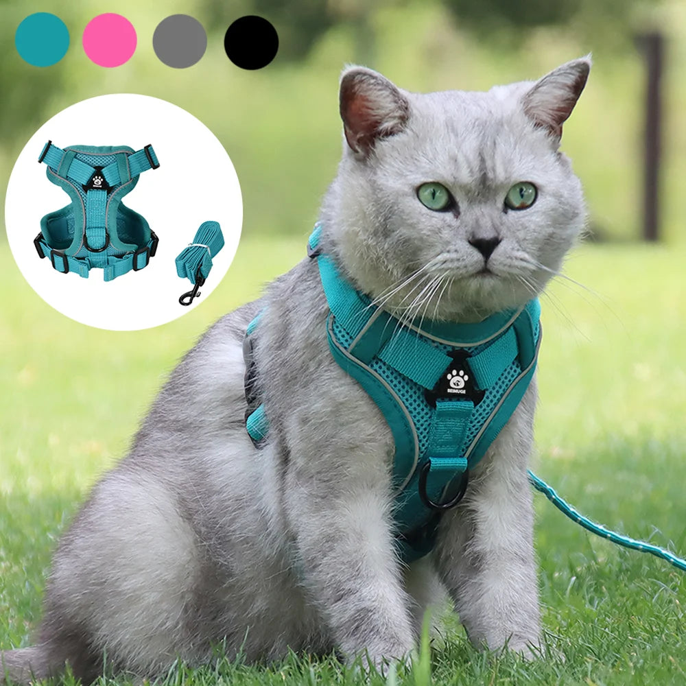 🐾🎽 Breathable Reflective Cat & Small Dog Harness with Leash