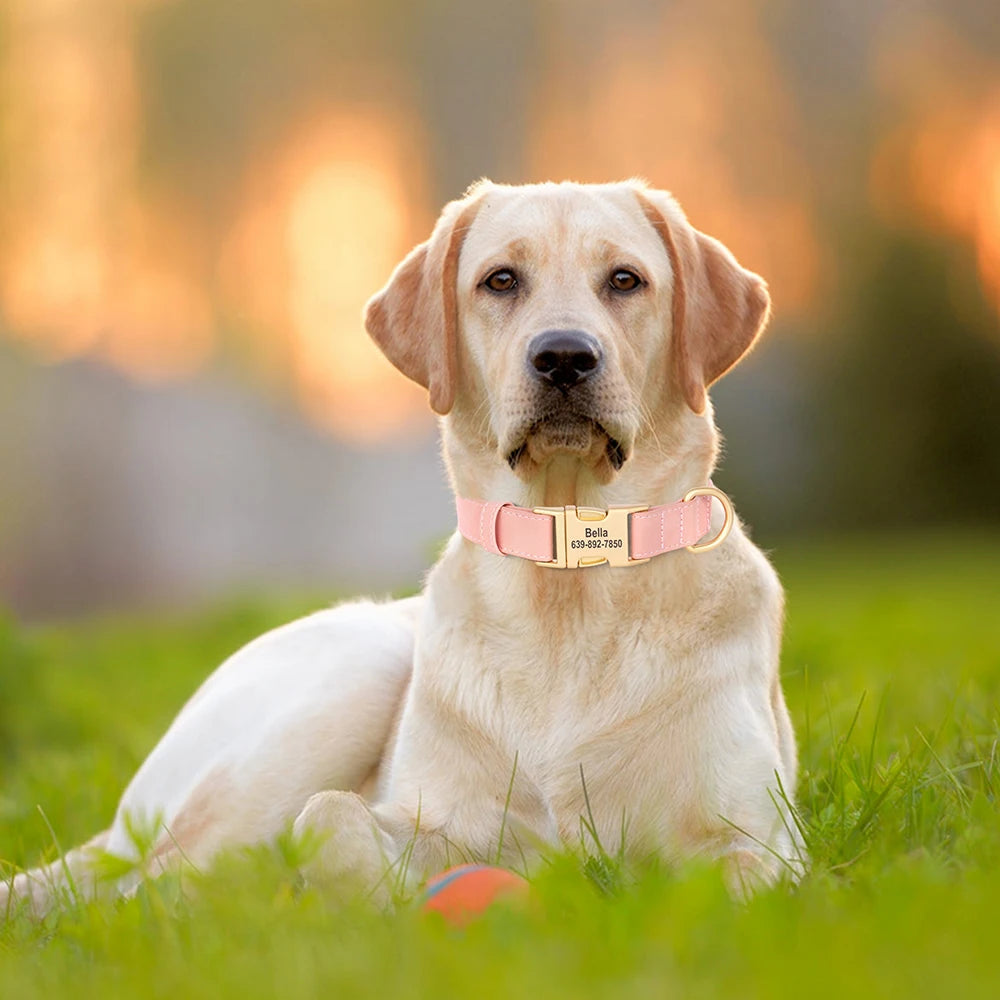 PU Leather Dog Collar with Free Custom Engraved Nameplate, Adjustable Anti‑Lost Buckle Collar for All Dog Sizes