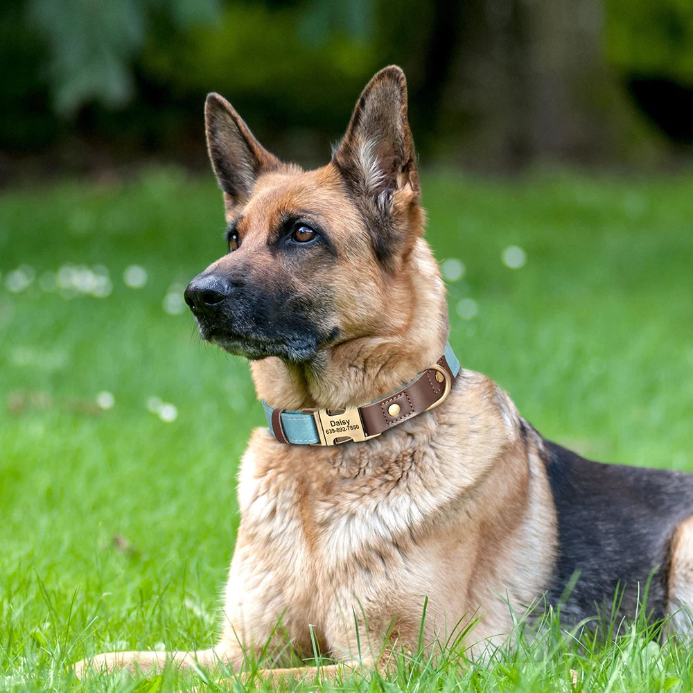 🐾 Customized Dog Collar | Durable PU Leather + Nylon | Engraved Pet ID Necklace 🐶 | Adjustable Metal Buckle for Small, Medium & Large Dogs (Pug, Pitbull, Chihuahua, Terrier) ✨