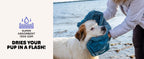 🛁🐾 Pet Absorbent Bath Towel – Quick-Drying Golden Hair Blanket