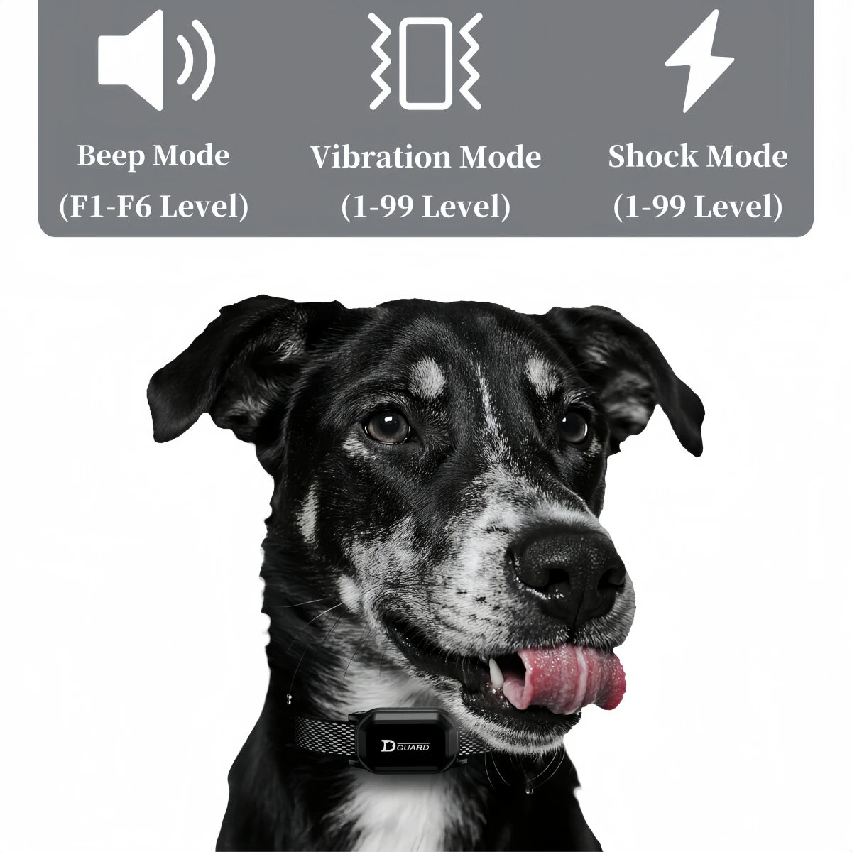 🐶📡 875 yards (800m) Digital Dog Training Collar – Waterproof Rechargeable with LCD